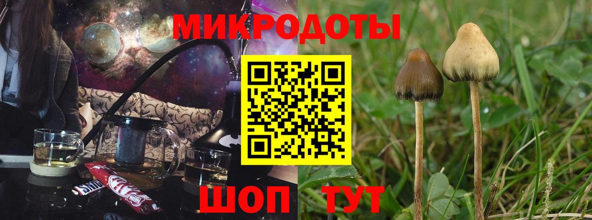 Галлюциногенные грибы Psilocybe  Вход с VPN  Первоуральск 